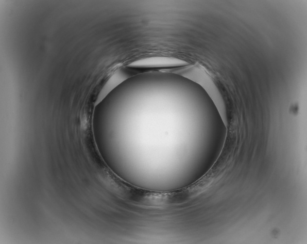 X0000099490084200805291115