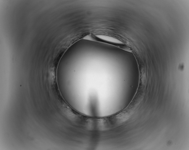 X0000099490085200805291115