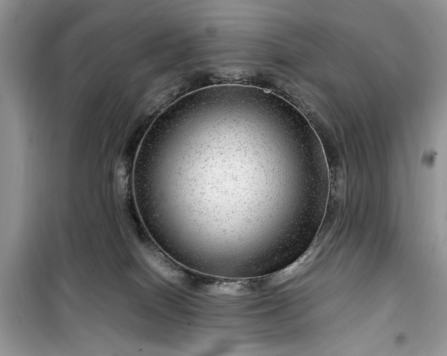 X0000099490086200805291115