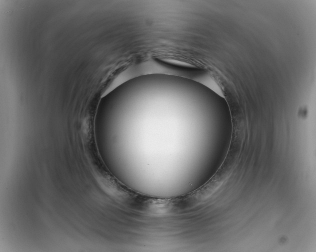 X0000099490088200805291115