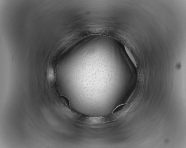 X0000099490089200805291116