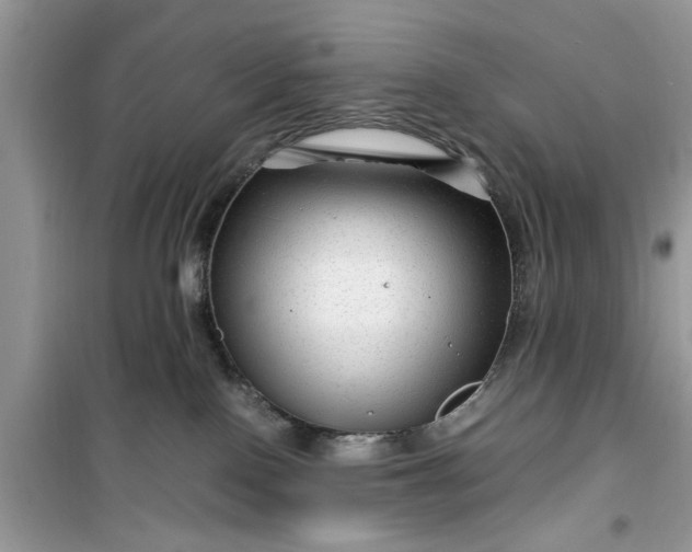 X0000099490090200805291116