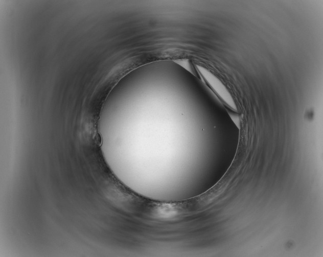 X0000099490091200805291116