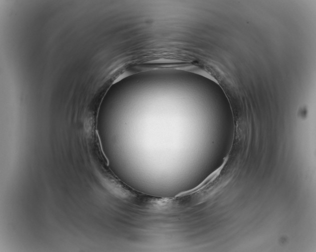 X0000099490092200805291116