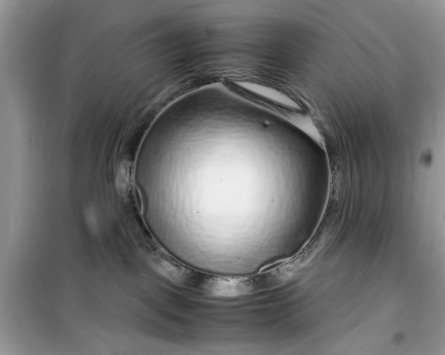 X0000099490093200805291116