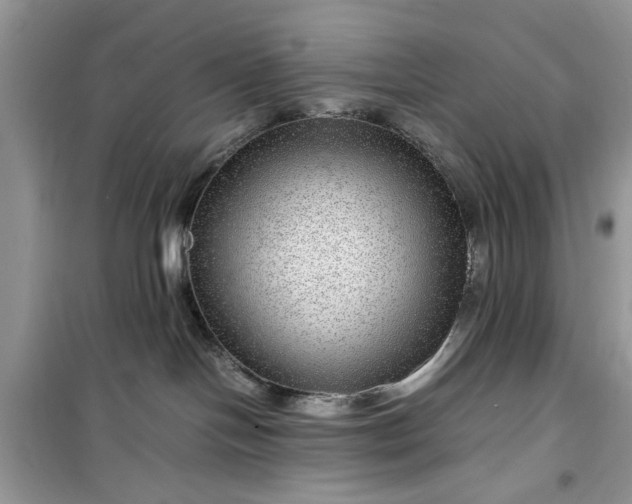 X0000099490094200805291116