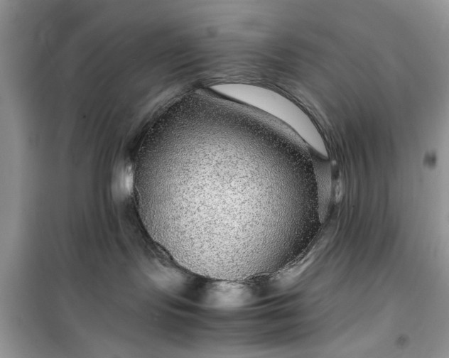 X0000099490095200805291116