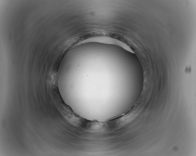 X0000099490096200805291116