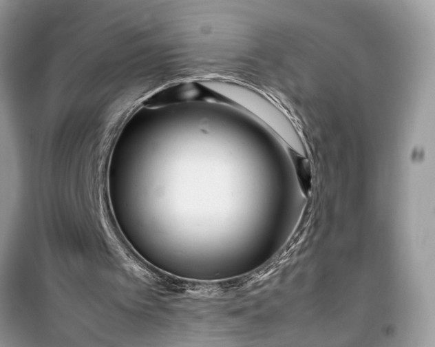 X0000099490097200805291115