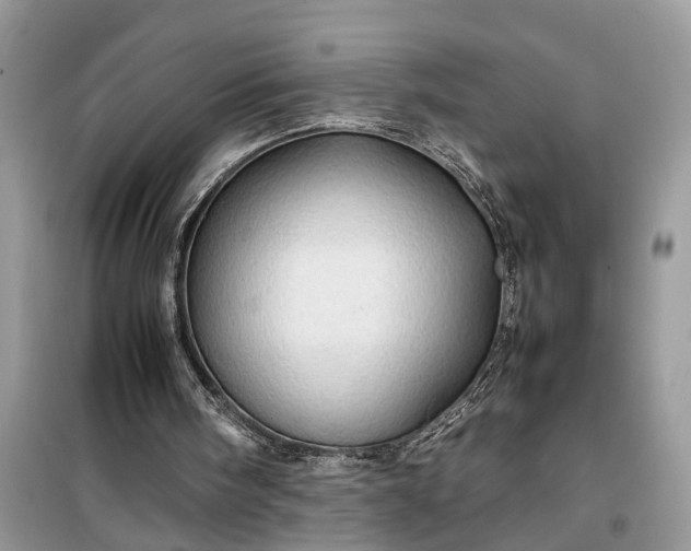 X0000099490098200805291115