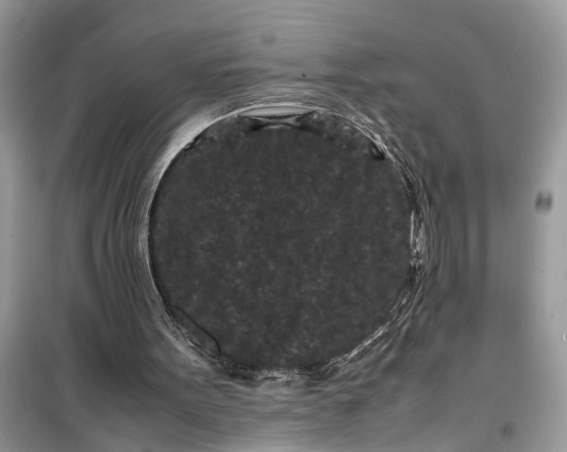 X0000099490099200805291115