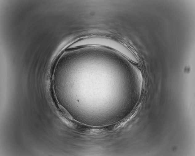 X0000099490101200805291115