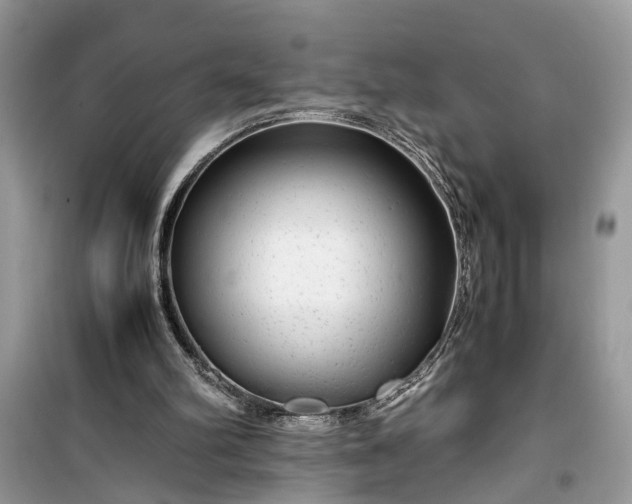 X0000099490102200805291115