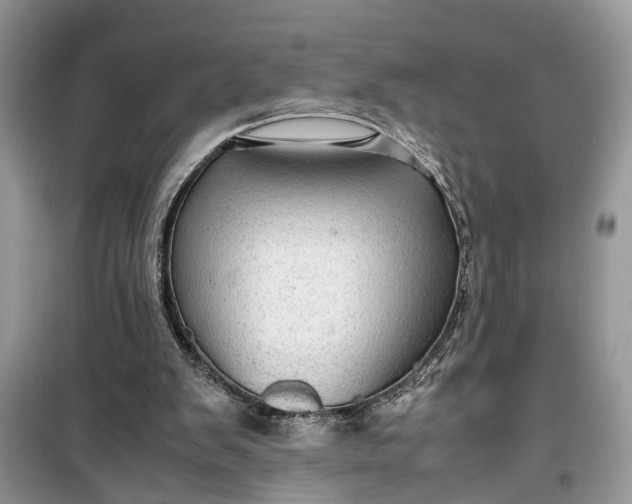 X0000099490103200805291115