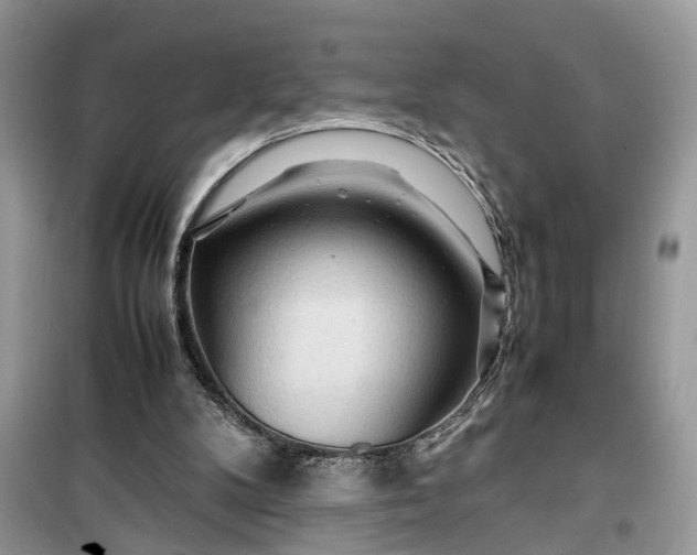 X0000099490104200805291115