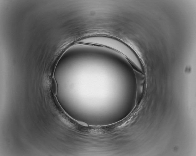 X0000099490105200805291115