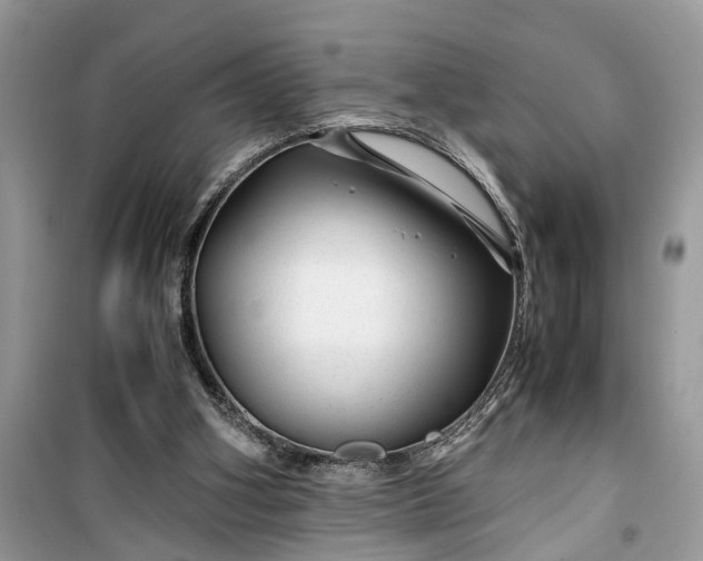 X0000099490106200805291115