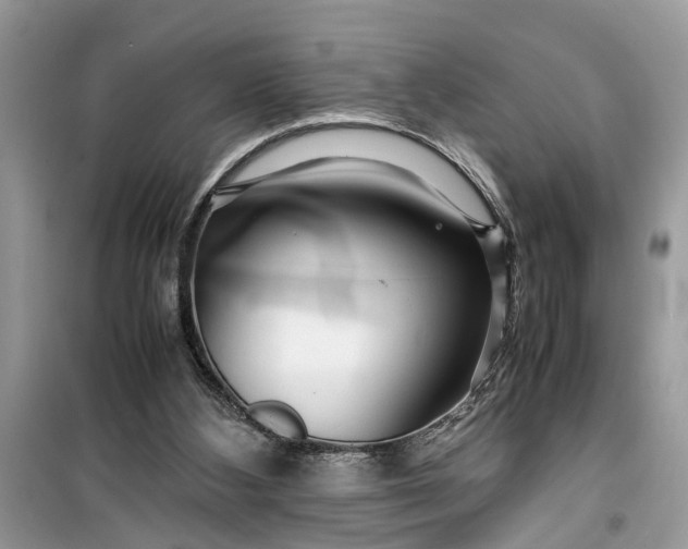 X0000099490108200805291115