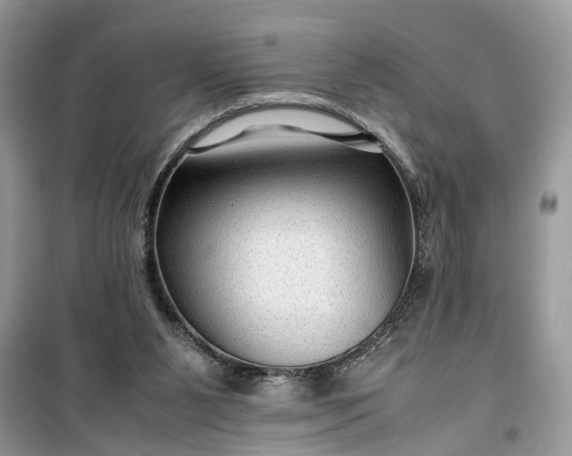 X0000099490111200805291115