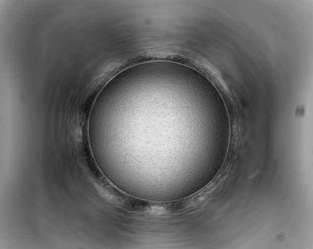 X0000099490114200805291115