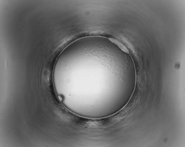 X0000099490115200805291115