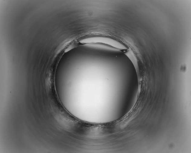 X0000099490116200805291115