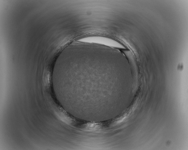 X0000099490117200805291115