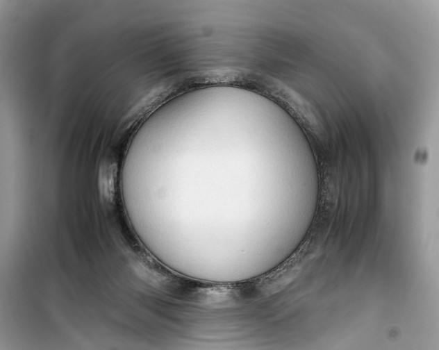 X0000099490118200805291115