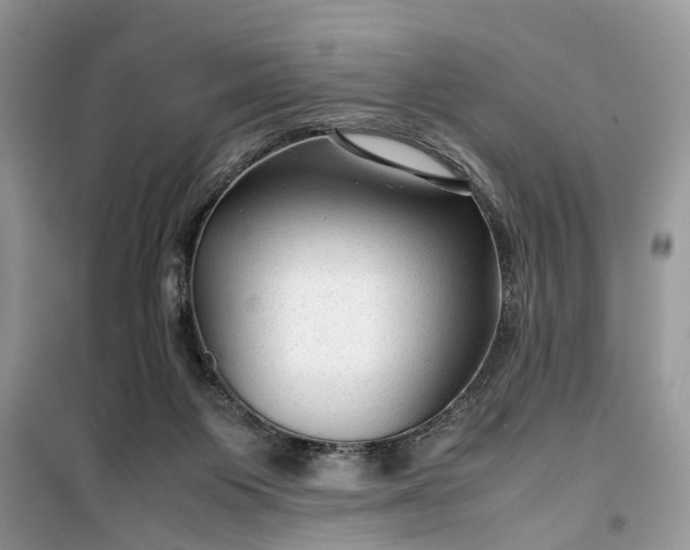 X0000099490119200805291115