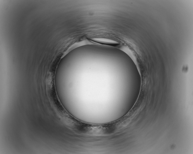 X0000099490121200805291115