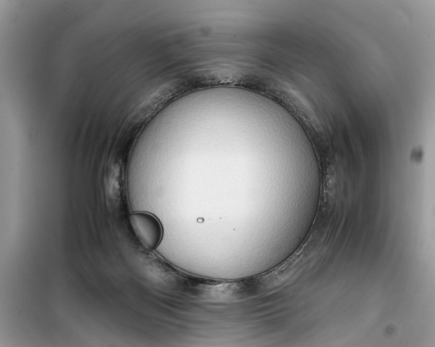 X0000099490122200805291115