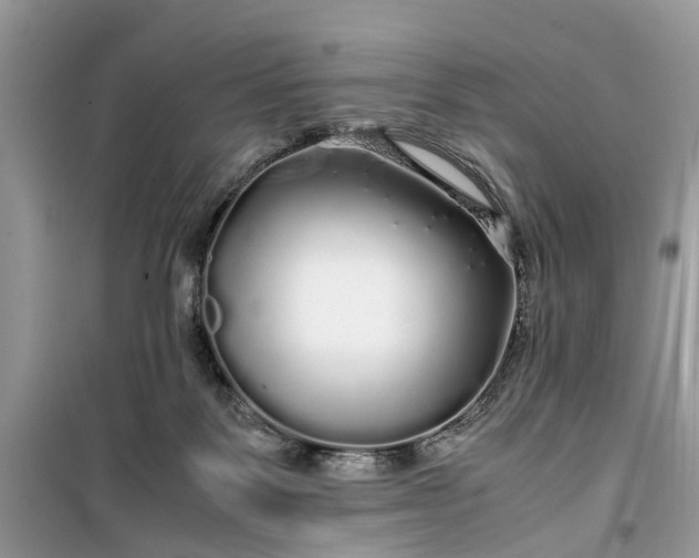 X0000099490123200805291115