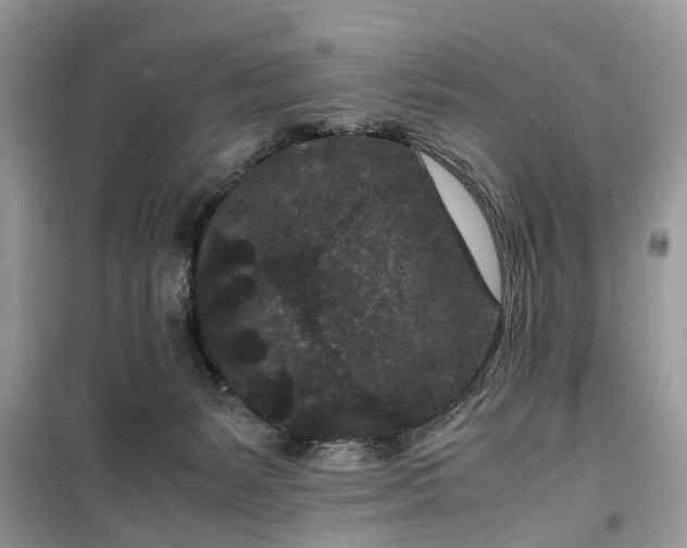 X0000099490127200805291115