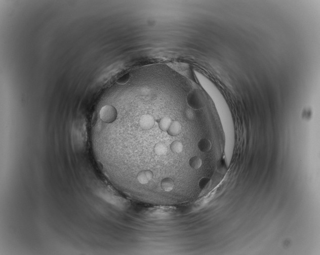 X0000099490128200805291115