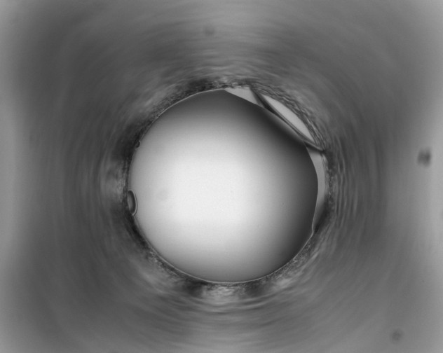 X0000099490129200805291115