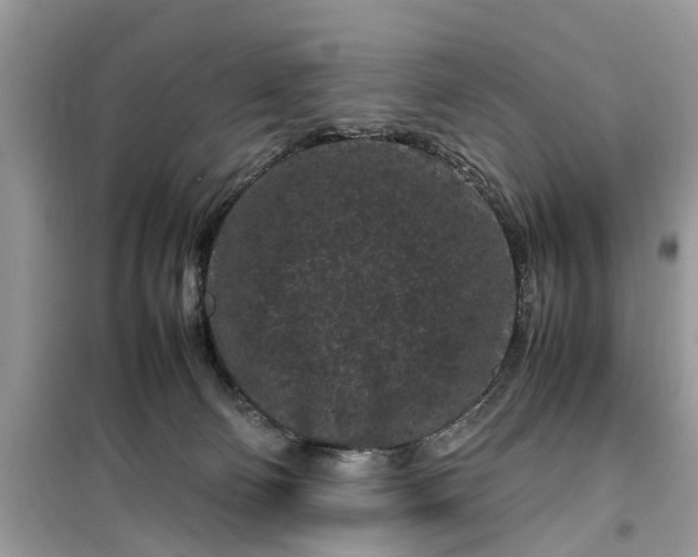 X0000099490130200805291115