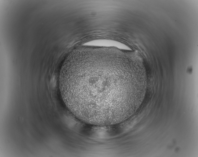 X0000099490131200805291115