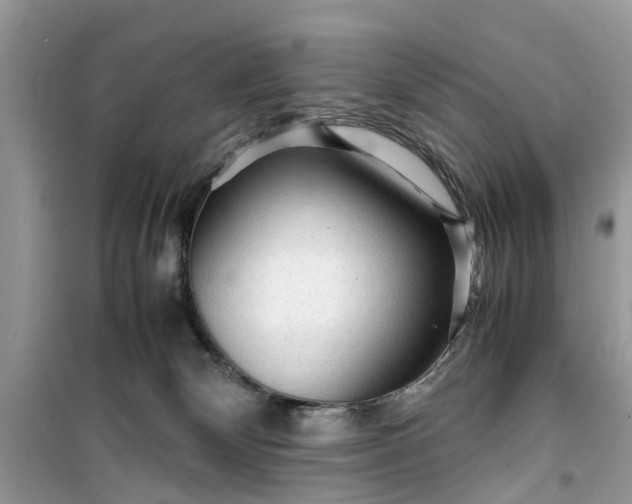 X0000099490132200805291115