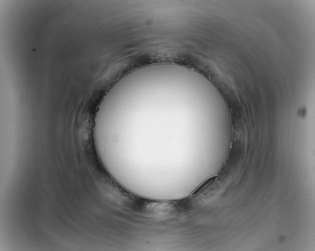 X0000099490133200805291115