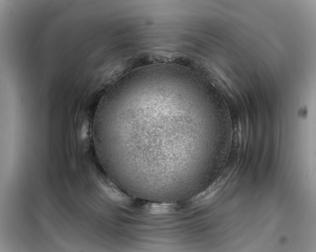 X0000099490134200805291114