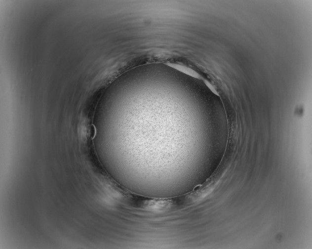 X0000099490135200805291114