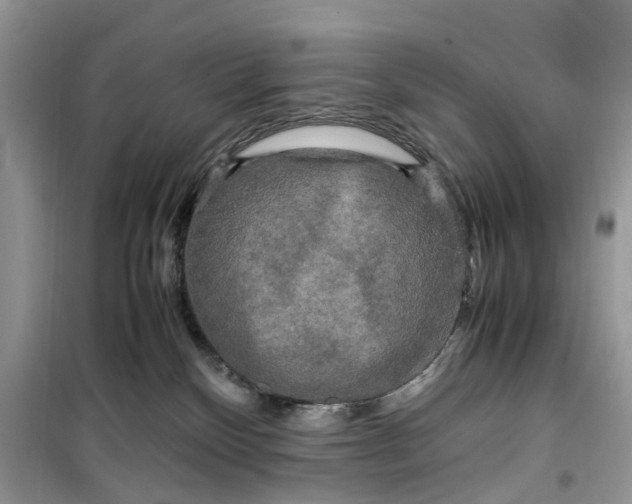 X0000099490136200805291114