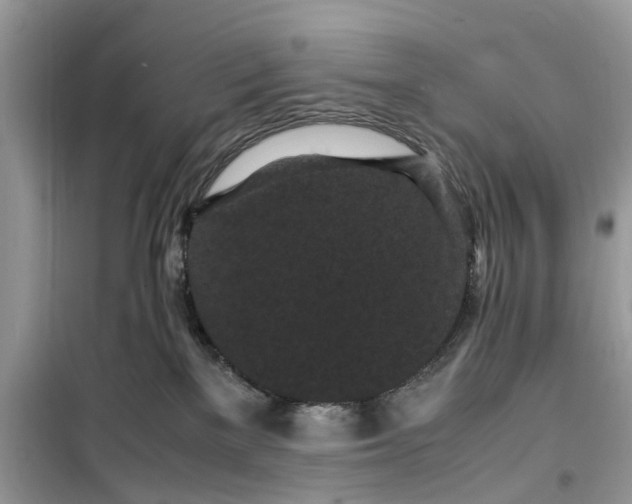 X0000099490137200805291114