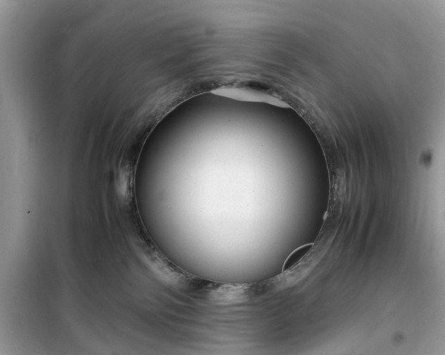 X0000099490138200805291114