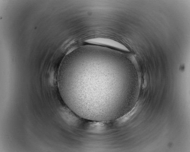 X0000099490140200805291114