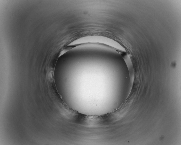 X0000099490141200805291114