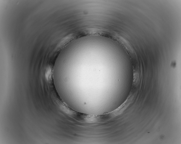 X0000099490142200805291114