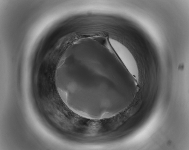 X0000099490143200805291114