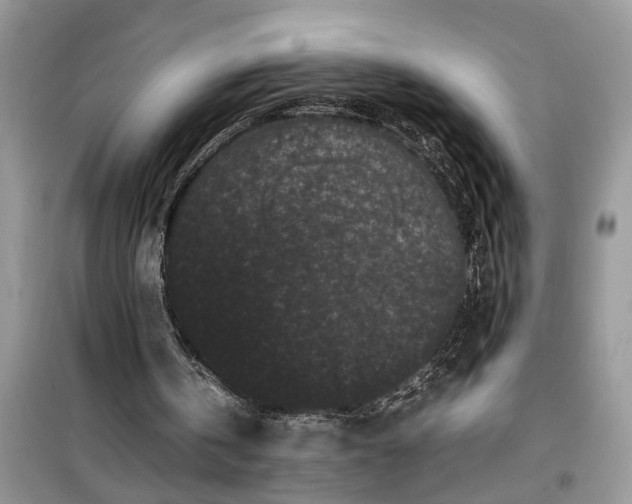 X0000099490146200805291114