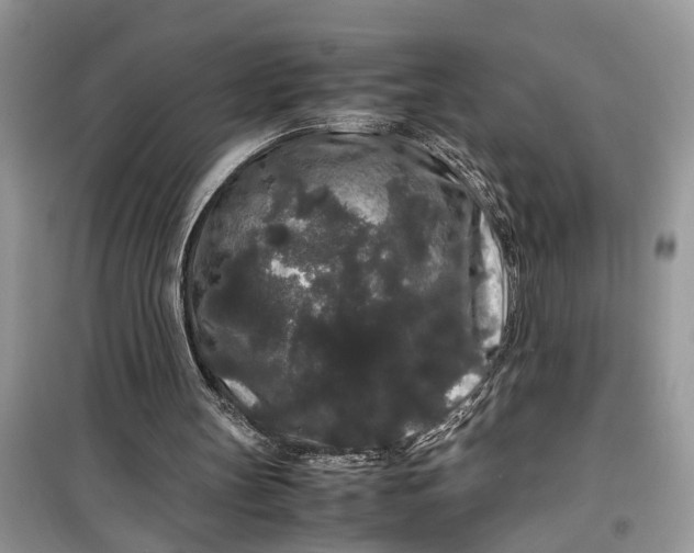 X0000099490147200805291114